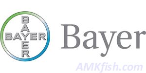 Bayer 