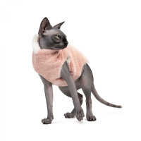    Pet Fashion CAT   L