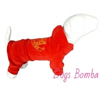   D-7   DogsBomba, 3 