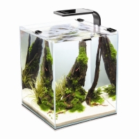 Aquael SHRIMP SET SMART     , 20