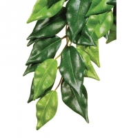 Hagen Exo Terra Silk Plant Ficus Medium     