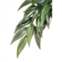 Hagen Exo Terra Silk Plant Ruscus Large     