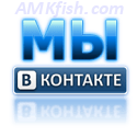 AMKfish.com - 